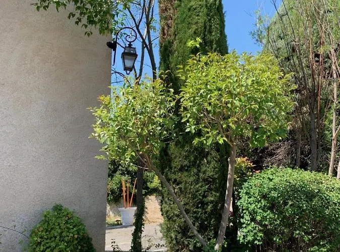 De L'orangerie 3 Etoiles 4*